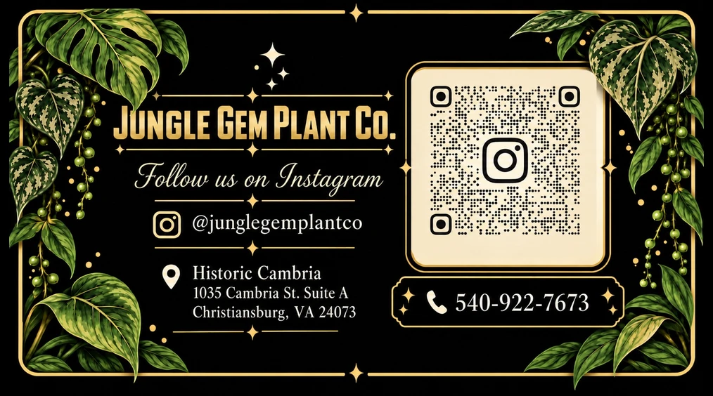 Jungle Gem Plant Co. business card back with an Instagram QR code, @junglegemplantco handle, Historic Cambria address in Christiansburg, VA and phone number 540-922-7673
